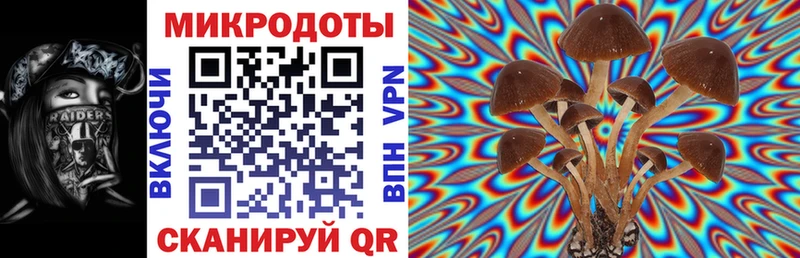 Галлюциногенные грибы MAGIC MUSHROOMS  mega онион  Копейск 
